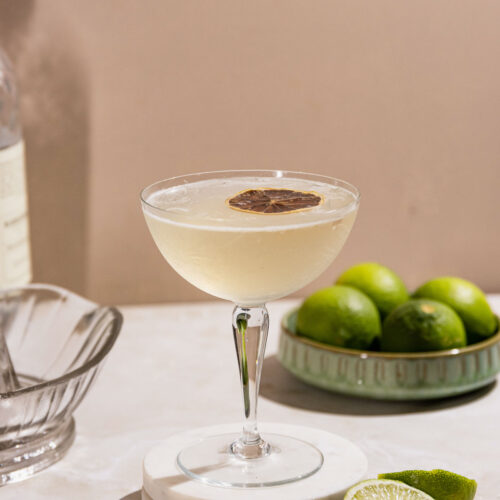 Gimlet cocktail in a coupe glass with a dehydrated lime slice.