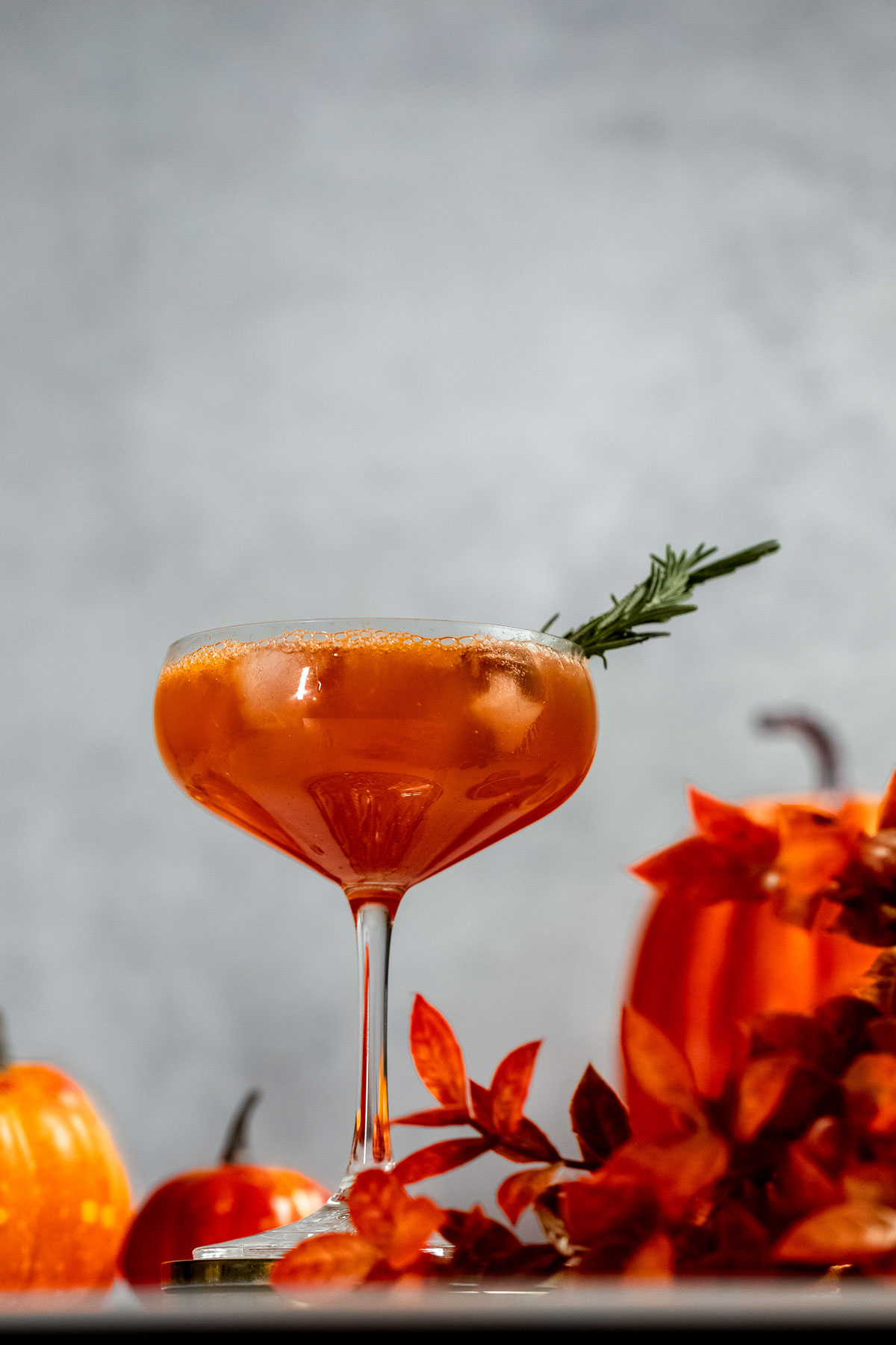 A fall aperol spritz garnished with rosemary in a coupe glass, surrounded by pumpkins and autumn leaves.