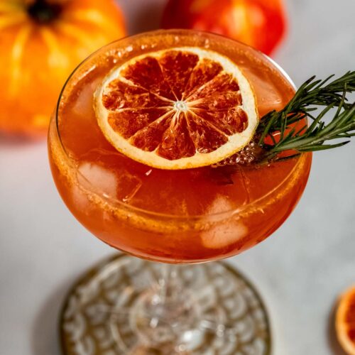 A fall aperol spritz in a coupe glass, garnished with a dried orange slice and rosemary sprig, is surrounded by pumpkins.