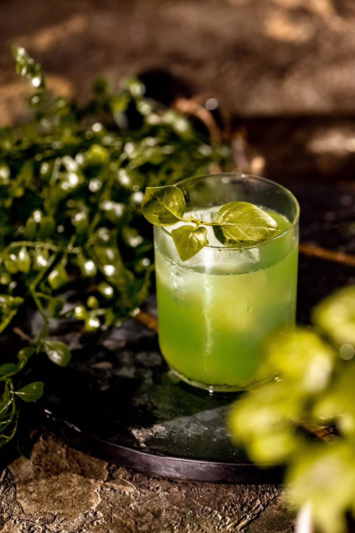 A gin basil smash cocktail garnished with leaves sits in a glass on a dark surface amid surrounding foliage.